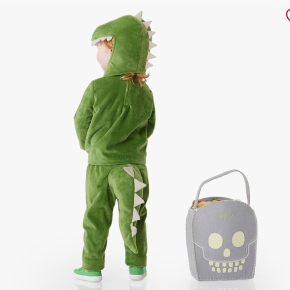 Pottery Barn Kids Green Dinosaur Costume - Picture 3 of 5
